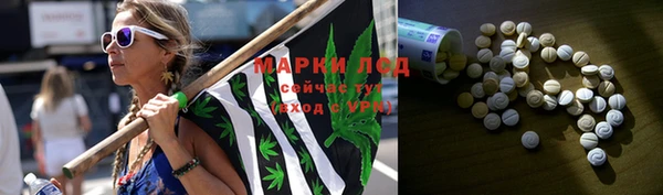 spice Алзамай