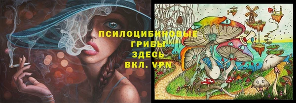 spice Алзамай