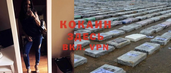 spice Алзамай