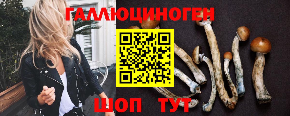 Галлюциногенные грибы прущие грибы  Псилоцибиновые грибы Psilocybe  Ахтубинск  Вход с VPN 